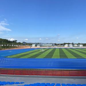 Quality Low Maintenance Semi-Prefabricate Running Track 13mm/15mm Thickness wholesale