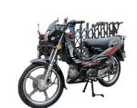 2022 50cc gas OEM bajak moto 50 47cc pc3 newest 50cc 110cc forza moto motorbike