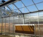 Hydroponic System for Aquaponics in Multi-Span Agricultural Greenhouse