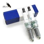 Korean Car Part Bujia Spark Plug For Hyundai KIA 18846-10060 18840-11051 18829