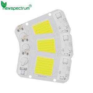 Quality 30W AC DC COB NO Driver Chip Led For DIY Floodlight Grow Light wholesale