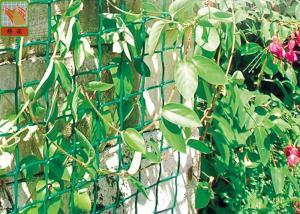 Quality Plastic Garden Netting For Climbing Plants , Garden Fence Roll With UV Stabilized wholesale
