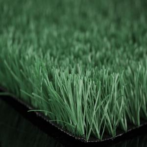 Quality Plastic Turf Grass Mat Carpet For Football Stadium wholesale
