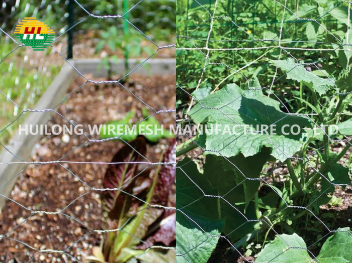 Galvanized 1.2x13x0.7mm Mesh Hexagonal Wire Netting For Pet Cages