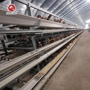 Quality Newest Design Of H Type Layer Chicken Poultry Cage wholesale