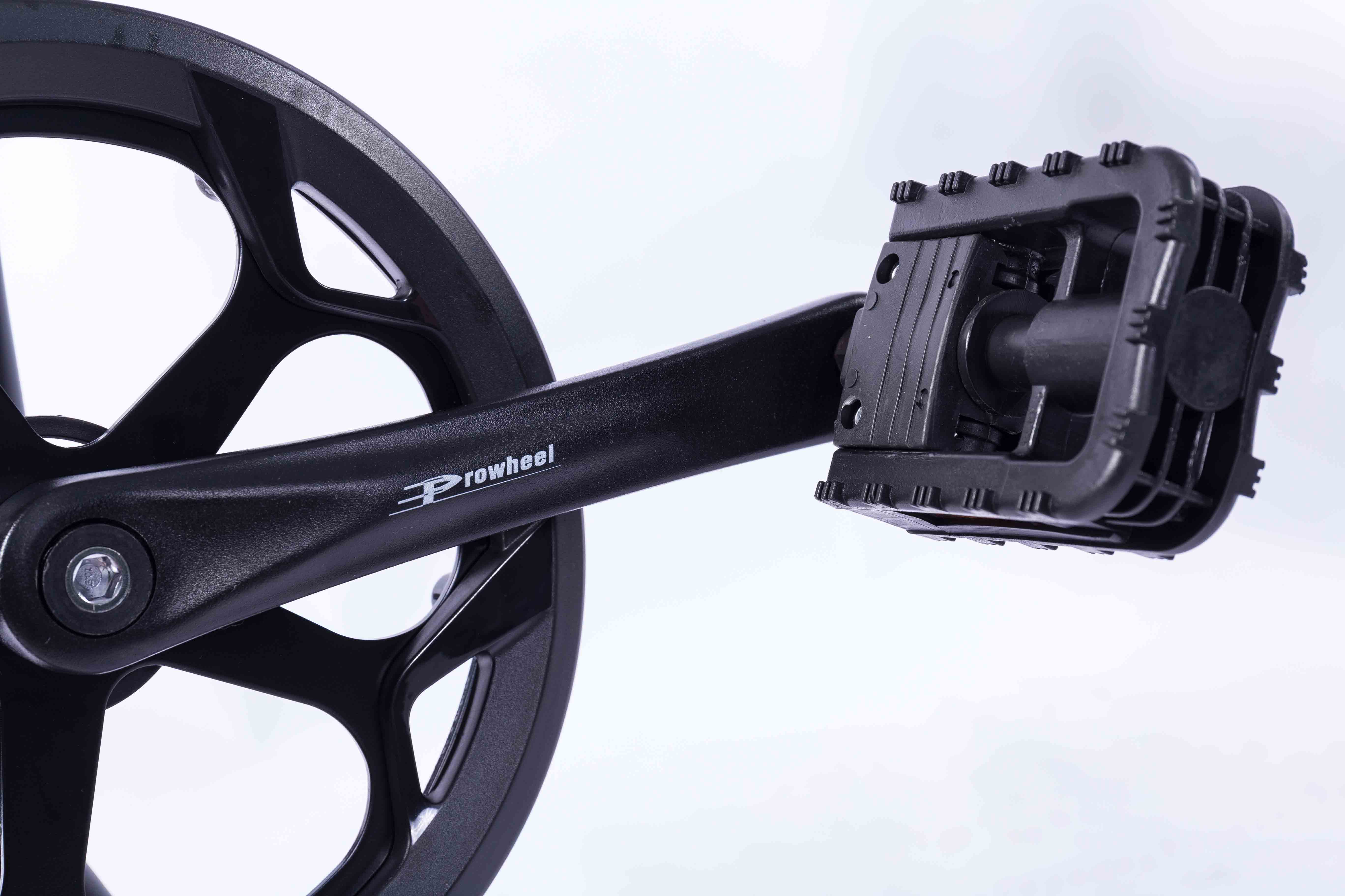 Black 20 Inch Electric Bike , Brushless Motor 36v Fat Wheel Electric Bike