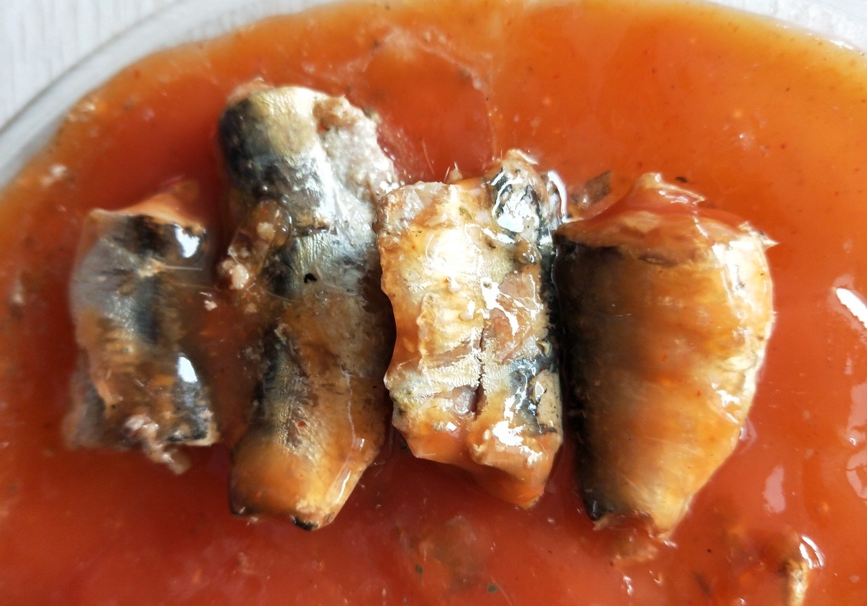 155g Tall Tin Spicy Canned Sardine in Tomato Sauce with Hot Chilli