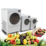 1500W Small Home Food Vacuum Freeze Dryer Lyophilization Machine 0.1m2 acreage