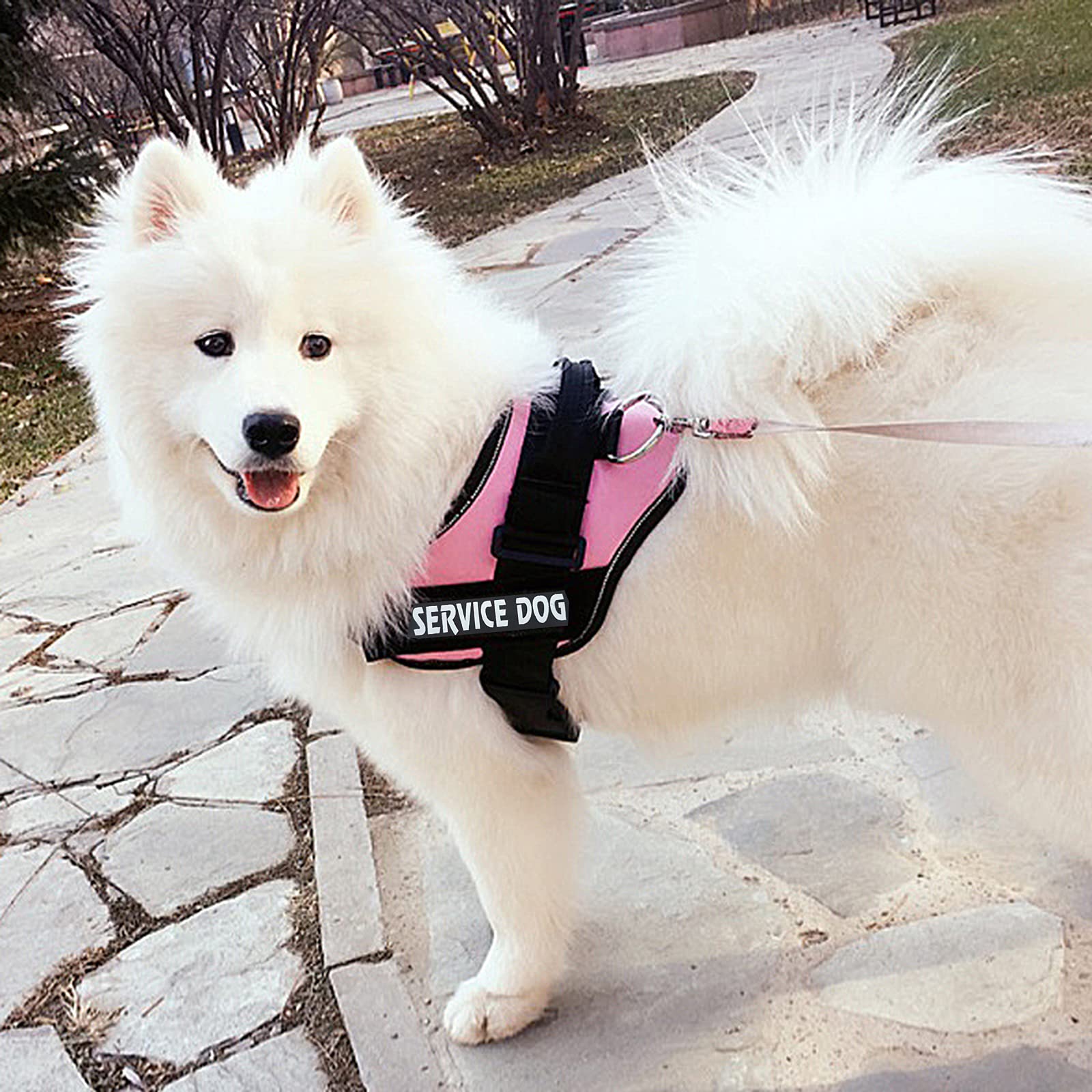 XS-XXL Nylon Pet Harness Dog Chest Harness No Pull High Visibility Dog Harness