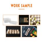 Pet Plastic Egg Tray Manufacturing Machine Vacuum Forming Packaging
