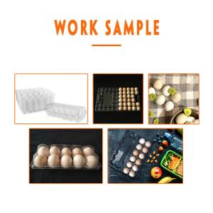Quality Pet Plastic Egg Tray Manufacturing Machine Vacuum Forming Packaging wholesale