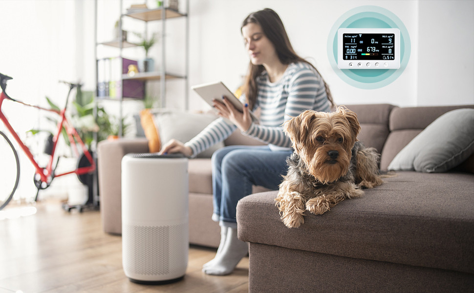 2.4GHz WiFi Indoor Smart Air Quality Monitor PM2.5 PM1.0 For Schools & Classrooms