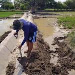 Online Technical Support Tenglu Environmental Management Waterproof Drainage