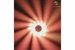 high power 19*15w 4in1 rgbw leds dmx Zoom Wash beam led moving head light