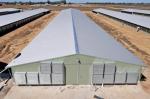 Cheapest Economical Hot-Rolled Steel Structure Shed Large Span Prefabricated