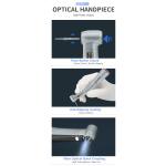 67dB Micro Motor Handpiece High Torque Electric 1/5 Dental Handpiece