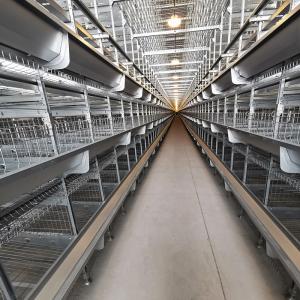 Quality Q235 Standard Steel Layer Chicken Cage Hot Dipped Galvanized wholesale