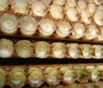 Food Grade 10-HDA 2.0% Organic Fresh Royal Jelly Natural Pure