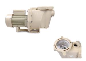 Quality Removeable Swimming Pool Water Pump Self Priming Type For Domestic Water Supply wholesale