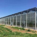 Instruction for Agricultural Glass Hydroponics System Commercial Greenhouses