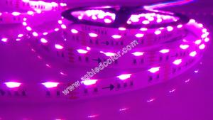 Quality DC12V 24V 60/120 led side emitting led Cabinet Light wholesale