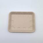 Biodegradable Bagasse Sugarcane Food Tray Fruits Vegetables Disposable Party