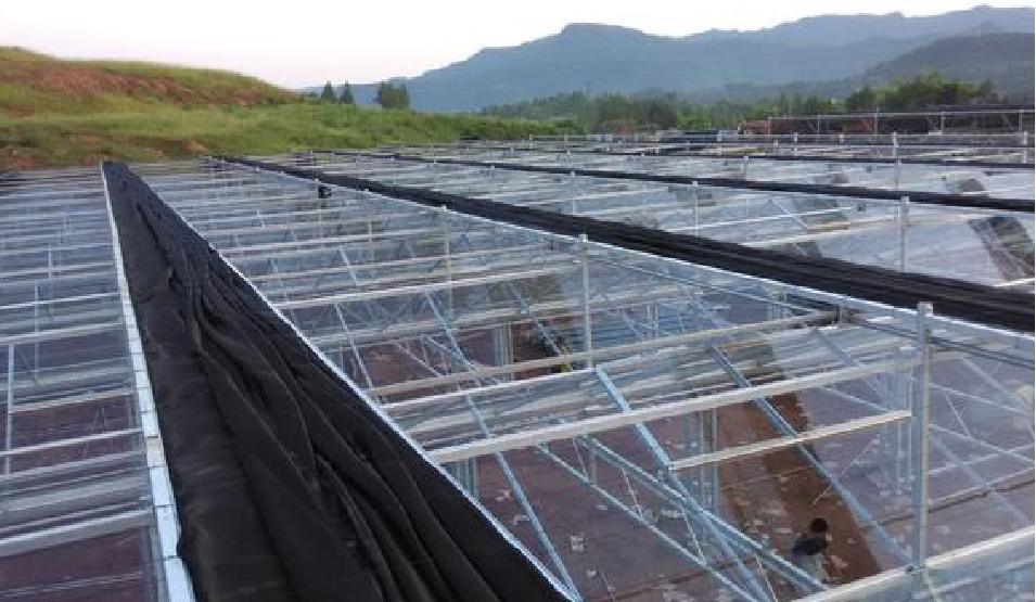 Hydroponic System High Tunnel Film Greenhouse for Sale