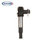 High Voltage Ignition Coil Replacement Impact Proof 12137575010 6 Mouths
