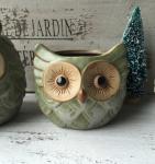 Succulent Creative Animals Owl Plant Flowerpots