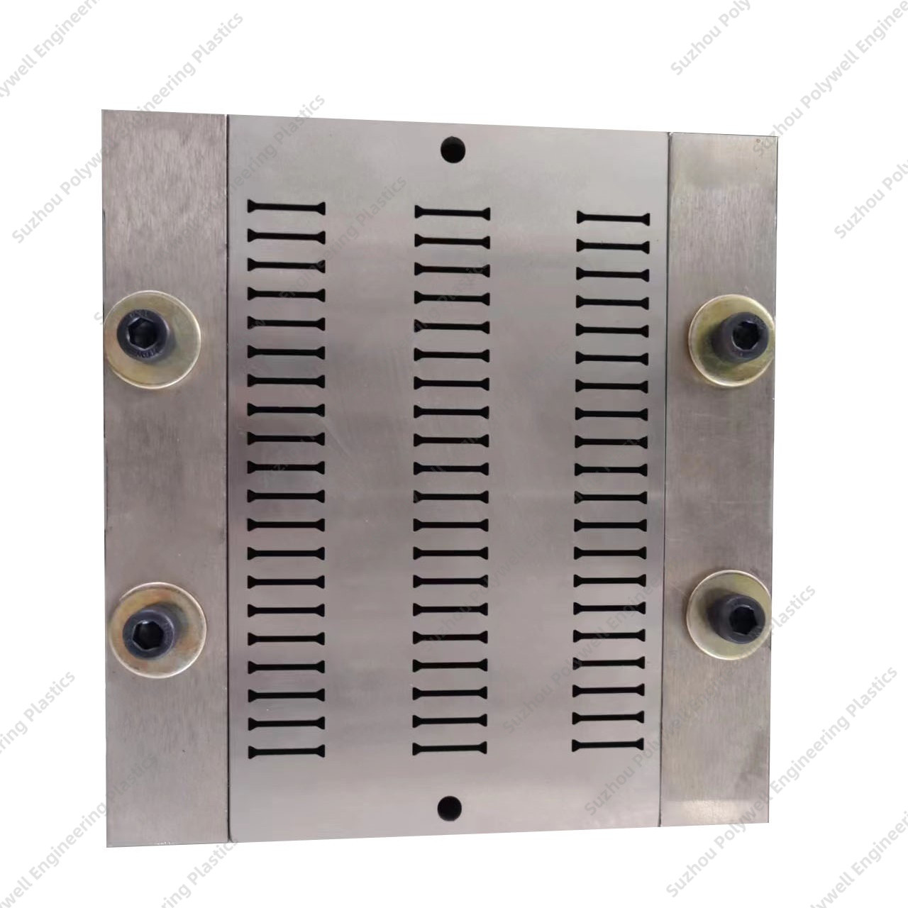 Polyamide Plastic Moulding Dies PA Plastic Extrusion Steel Mold Nylon Extruder Mold