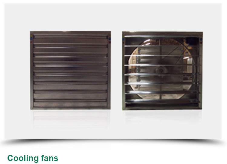 4.0m-6.0m Gutter Height Commercial Glass Greenhouse for Vegetable Flower