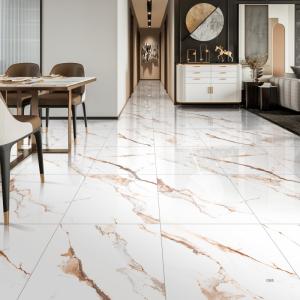 Quality Polished Indoor Porcelain Tiles 0.5% Water Absorption And Clubhouse With Polished Finish wholesale