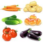 Industrial Fruit Vegetable Processing Machine Orange Mango Cleaning Drying