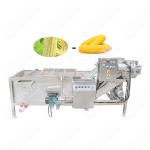 High Output Mini Vegetable Washing Machine Ce Approved