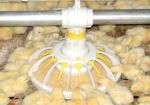 Poultry Equipment , Stockbreeding Machine , Poultry cellulose Cooling Pad