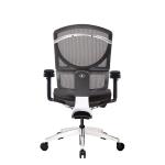 Polished Mesh Ergo Office Chair With Adjustable Depth Ergonomic