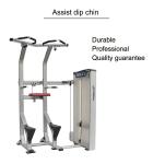 Assisted Dip Chin Strength Training Machine , Professional Matrix Bodybuilding
