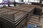 Shell Protection Reheater In Boiler ASME Standard Proper Drainage