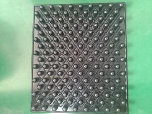 Quality blister trays for seeding PS wholesale