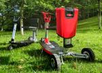 Brushless DC Motor Electric Scooter For Adults , 48V 8.7Ah Lithium Battery