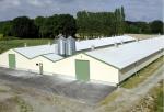 Durable Steel Poultry House Automatic Feeding System Feeding Pan Poultry