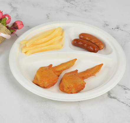 Made of Natural Sugarcane Fibers Eco Friendly Fully Biodegradable Disposable White Bagasse Plate