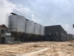 Wheat Flour Mills India 100000 KG Capacity Ideal for Commercial Maize Milling