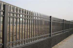 Quality 50X50mm Picket Top Tubular Steel Fence Black Or Customize wholesale