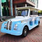 ODM Blue Electric Classic Golf Cart Trolley 20 Mph 48V