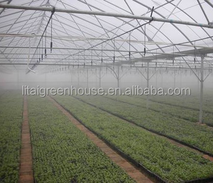 Film Covered Galvanized Greenhouse for Stable Structure and Vegetable Cultivation