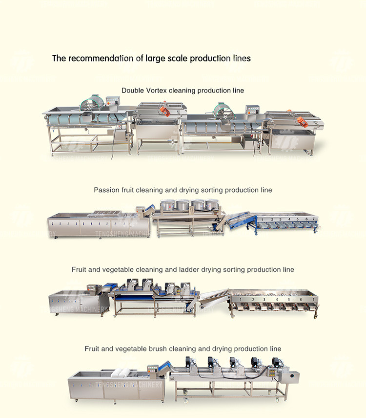SS Fruit Bubble Washing Machine Commercial Vegetable Cleaning Equipment