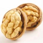 Packing Way Walnut Carton for Your Business Needs