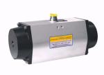 Double Acting Pneumatic actuator1