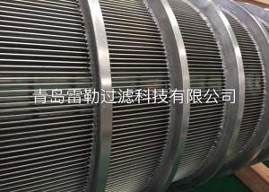 Quality Paper Mill Pressure Screen Basket Pulp Screening Wedge Wire Panels wholesale